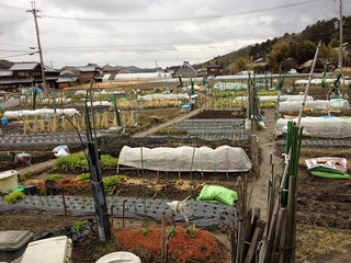 画像 186.jpg
