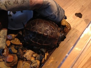 画像 190.jpg