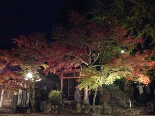 画像 249.jpg