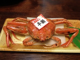 画像 416.jpg