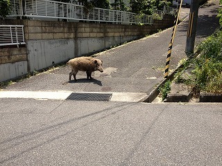 画像 868.jpg